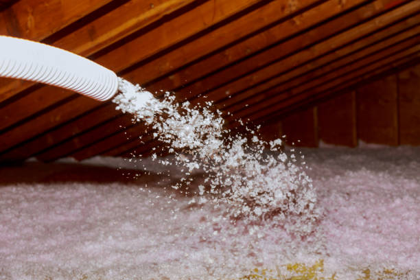 Best Eco-Friendly Insulation in Navassa, NC