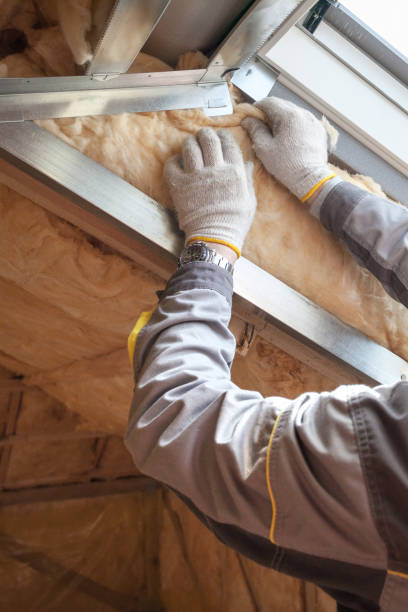 Professional Insulation Contractor in Navassa, NC